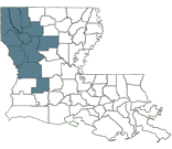 BESE District 4 Map BESE District 4 Map