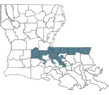 BESE District 8 Map